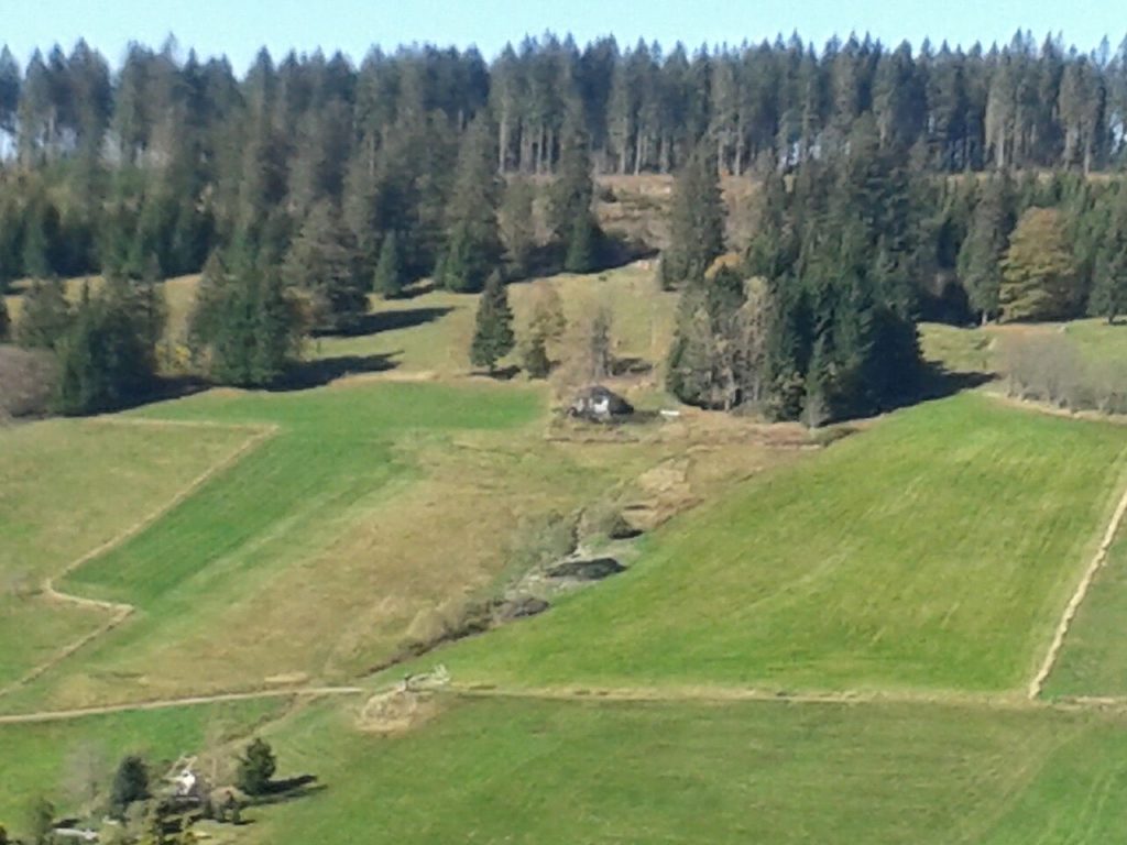 Cabaña de Martin Heidegger en Todtnauberg, entorno asociado a su trabajo filosófico